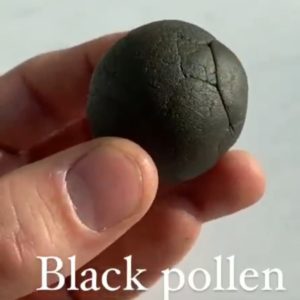 Black pollen